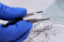 Hair Analysis at Wells Chiropractic